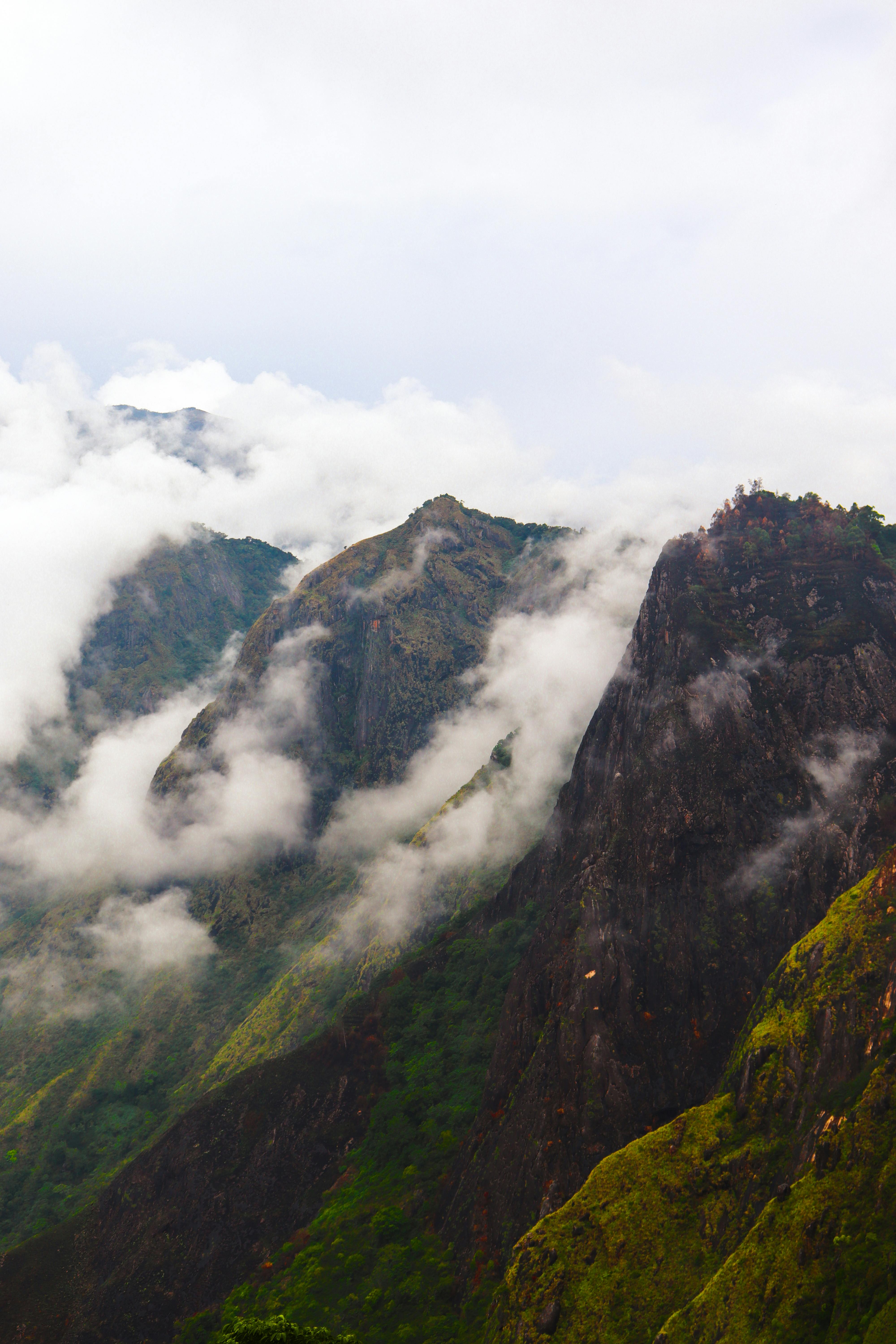 Munnar Adventure